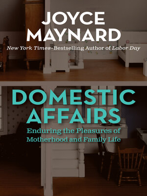 cover image of Domestic Affairs